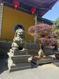 วัดพุทธที่เก่าแก่และศักดิ์สิทธิ์ที่สุดในจีน
