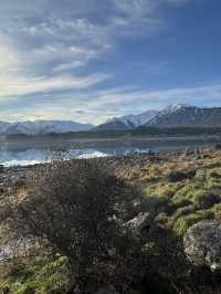 Tekapo - Lake, Dog statue & Church 