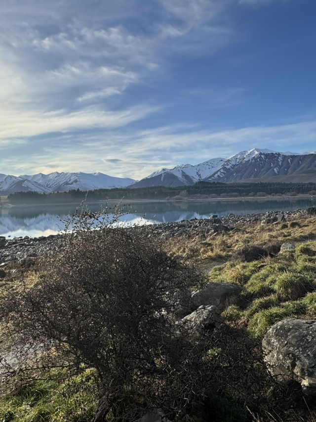 Tekapo - Lake, Dog statue & Church 