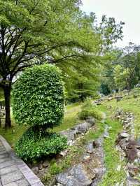 A Hidden Dialogue of Art & Nature in the Heart of KL