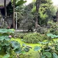🎋 Chengdu People’s Park 成都人民公园 | A Window into Local Life