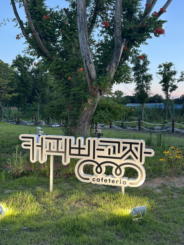 따끈한 빵과 커피 향이 자연스레 어우러지는 공간🤍🥖🍞