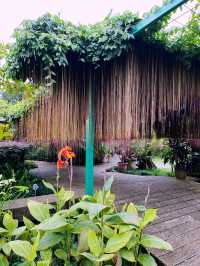 Secret Garden: Stunning Oasis of Beauty and Botanical Wonders