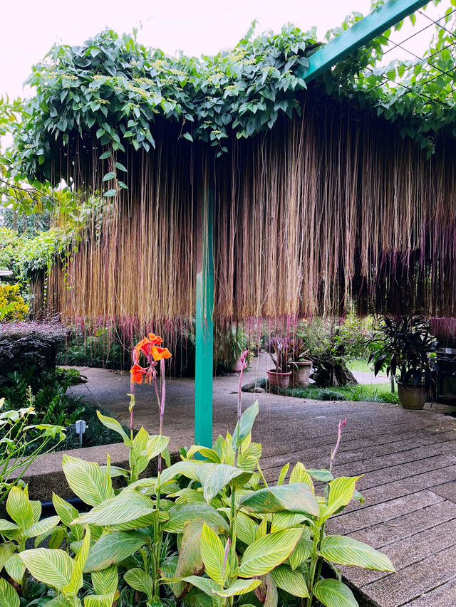 Secret Garden: Stunning Oasis of Beauty and Botanical Wonders