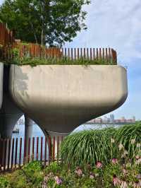 Little Island: A Floating Garden Escape in NYC 🌿🏝️🌇