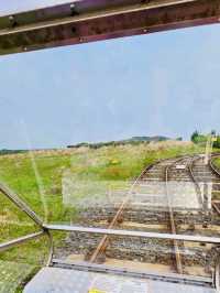 A Cost-Effective Group Adventure on Jeju's Rails