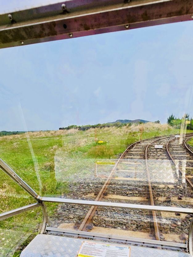 A Cost-Effective Group Adventure on Jeju's Rails