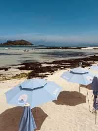 Discovering Hidden Tide Pools and Marine Life