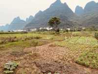 Yulong River (遇龙河)** in Yangshuo, China – a serene paradise of karst landscapes, bamboo rafting, and
