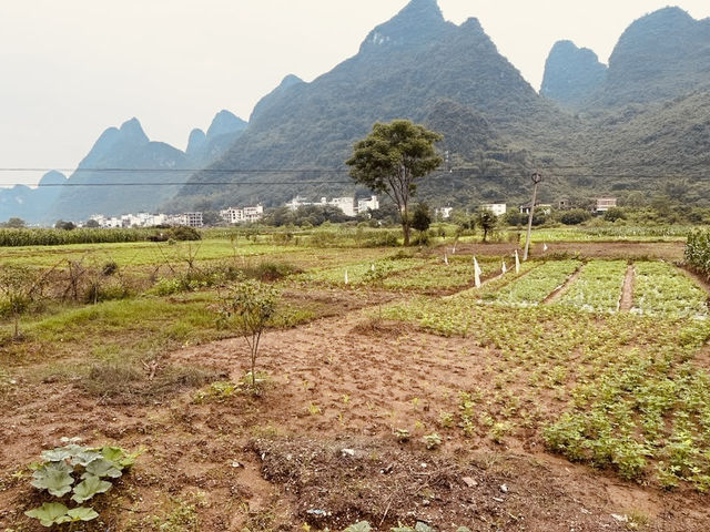 Yulong River (遇龙河)** in Yangshuo, China – a serene paradise of karst landscapes, bamboo rafting, and
