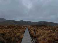 Volcano Views and Wild Vibes at Tongariro National Park