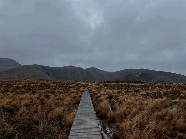 Volcano Views and Wild Vibes at Tongariro National Park