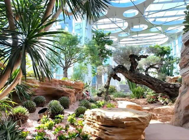 Desert beauty, under the glass roof Desert beauty, under the glass roof