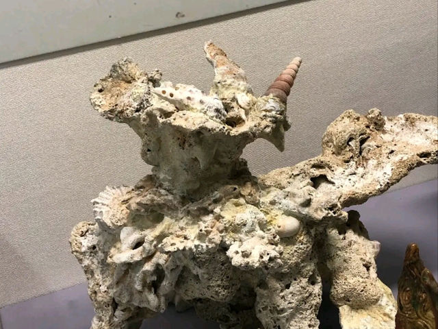 📍 琉球王國歷史博物館（Kingdom History Museum）｜中城村探尋琉球王國的軌跡