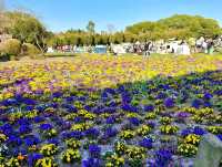 City’s Green Escape: Century Park