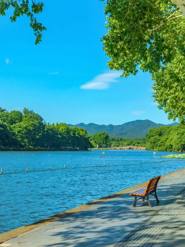 八月的西湖——夏日能量補充