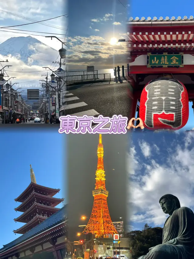 東京5日4夜行程