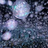 TeamLab Borderless (MORI Building Digital Art Museum)