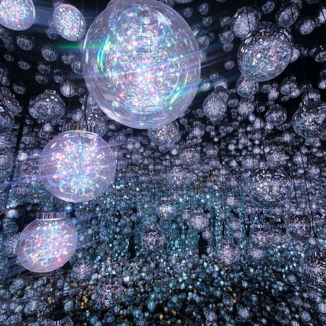TeamLab Borderless (MORI Building Digital Art Museum) TeamLab Borderless (MORI Building Digital Art Museum)
