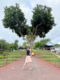 บ้านสวนชมวิว ต้นไม้หัวใจ (Heart tree house)
