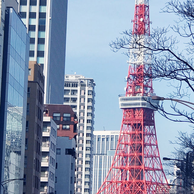東京🗼田町・SOWCO. Galleryで出会った “聖地のロッカーたち” — 緒方秀美 写真展 & ドラムライブ 東京🗼田町・SOWCO. Galleryで出会った “聖地のロッカーたち” — 緒方秀美 写真展 & ドラムライブ