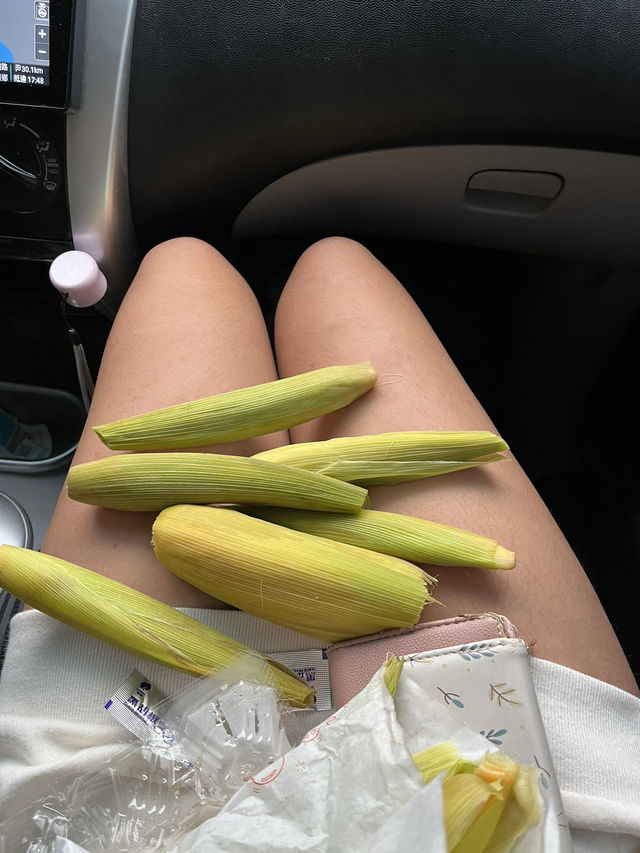 A Day at Yilan (picnic+beach and more!)👩🏻‍🤝‍👩🏼🧺✨