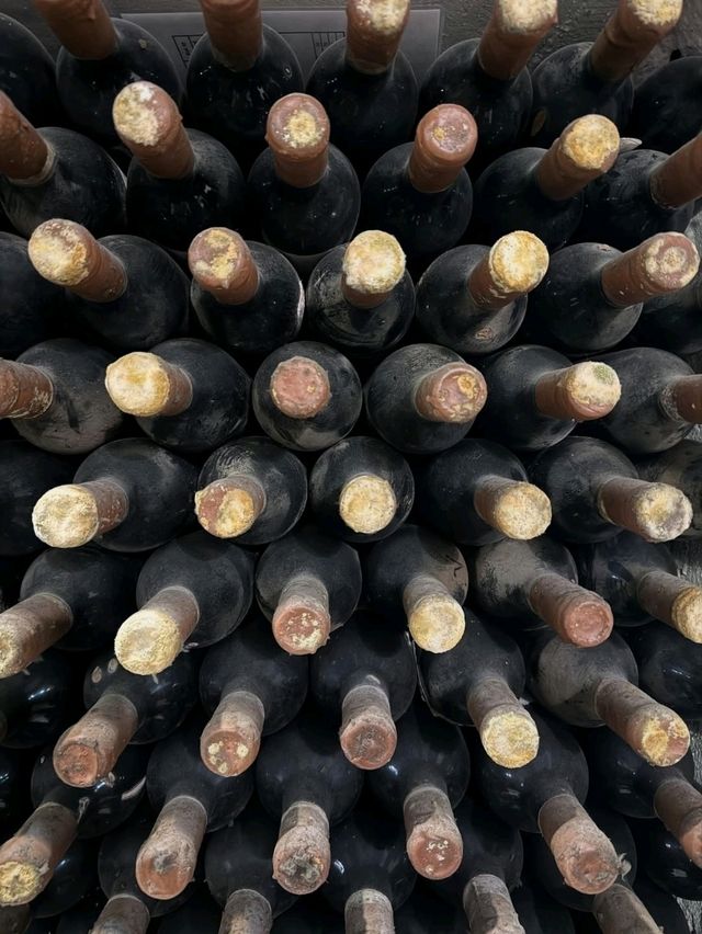 Tasting Excellence at Crocova Winery