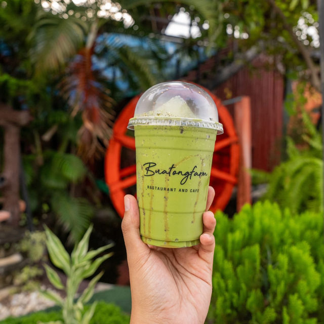 บัวทองฟาร์ม บัวทองฟาร์ม