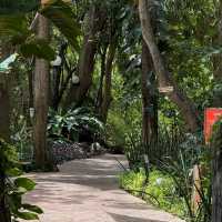 คาเฟ่ ภูเก็ต