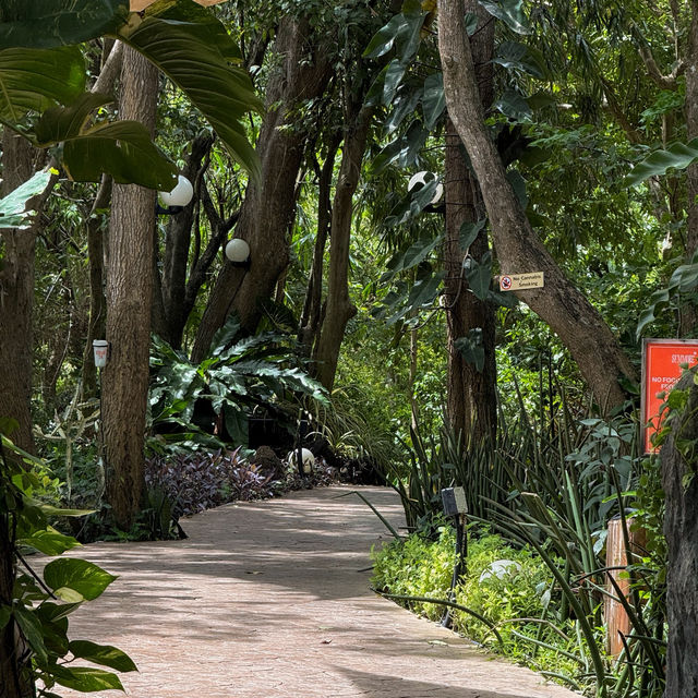 คาเฟ่ ภูเก็ต คาเฟ่ ภูเก็ต