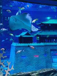 Xiangyang OCT Fabland-Aquarium🐟