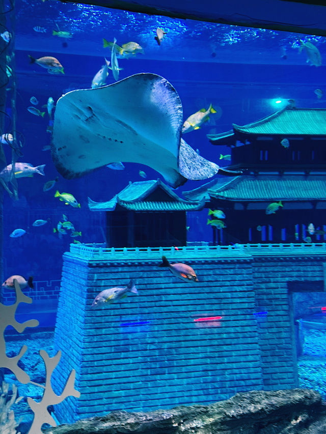 Xiangyang OCT Fabland-Aquarium🐟
