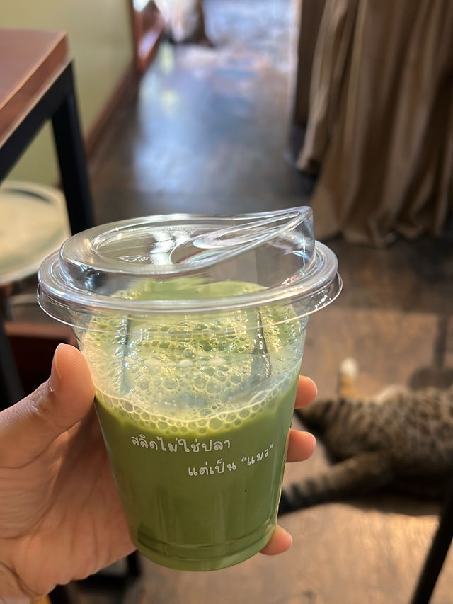 Salid Coffee Bar