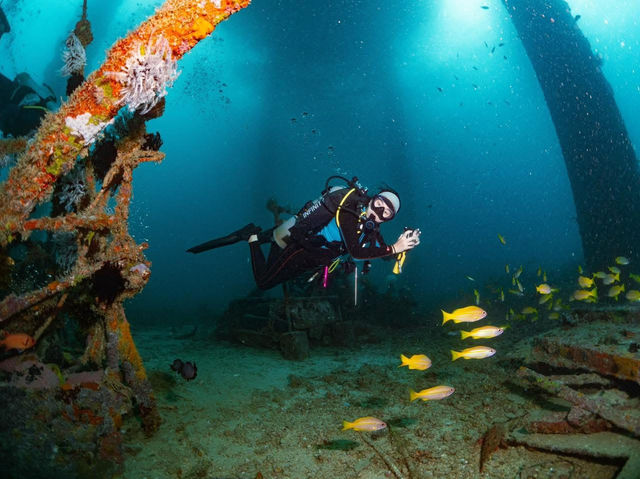 ดำน้ำที่ สิปาดัน สวรรค์ใต้น้ำ มาเลเซีย