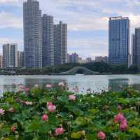 臨海靈湖公園~打卡超靚天氣🌞