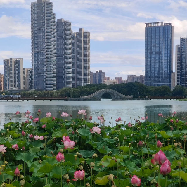 臨海靈湖公園~打卡超靚天氣🌞 臨海靈湖公園~打卡超靚天氣🌞