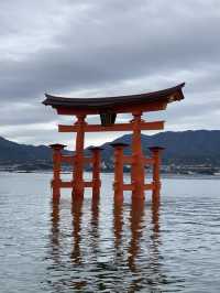宮島:欣賞巖島神社之餘,也千萬不可錯過的牡蠣宴!