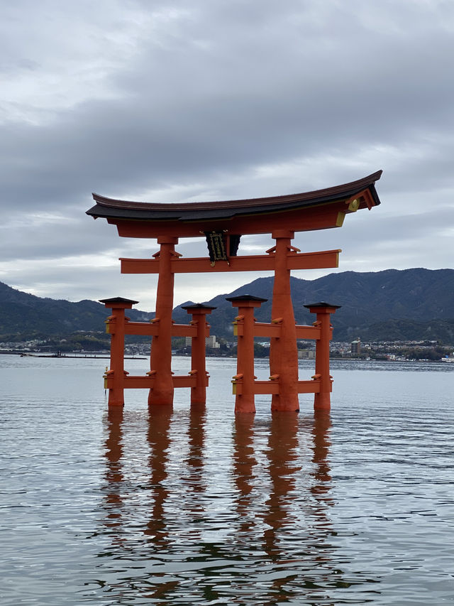 宮島:欣賞巖島神社之餘,也千萬不可錯過的牡蠣宴! 宮島:欣賞巖島神社之餘,也千萬不可錯過的牡蠣宴!
