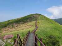 소백산 – 철쭉의 천국