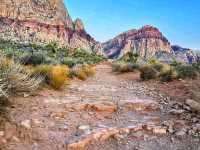 🌄 Oak Creek Canyon – A Scenic Drive Through Nature’s Masterpiece 🍃✨🇺🇸