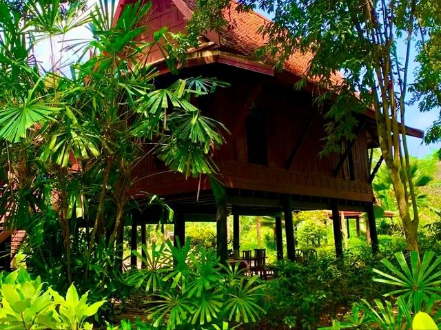 索巴植物園與泰屋博物館：走進自然與文化的綠色秘境