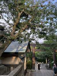 【鎌倉】江之島神社一步步走出的感動