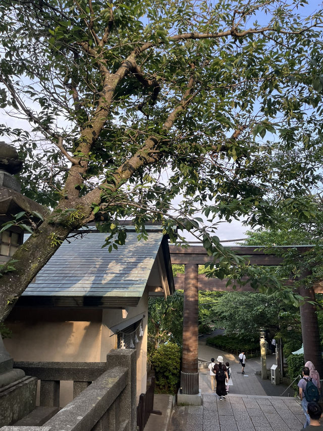 【鎌倉】江之島神社一步步走出的感動