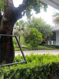  Mercure Rayong Lomtalay
