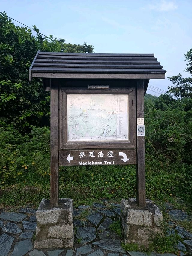香港最天然山頂打卡位 香港最天然山頂打卡位