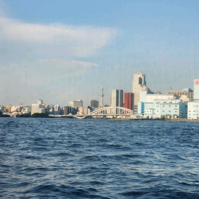 Tokyo’s Odaiba: Lady liberty & Water Taxi Wins (No, I'm NOT in NYC!) 🤩🗼