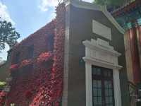 ✨上海多倫路文化名人街散步遊覽💯欣賞歷史建築特色景點😍I