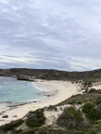 澳洲西岸最夢幻小島——羅特尼斯島