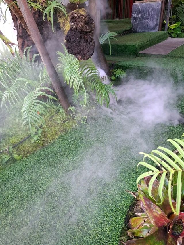 คาเฟ่ที่มีเอกลักษณ์เฉพาะตัว ด้วยบ่อปลาคาฟ