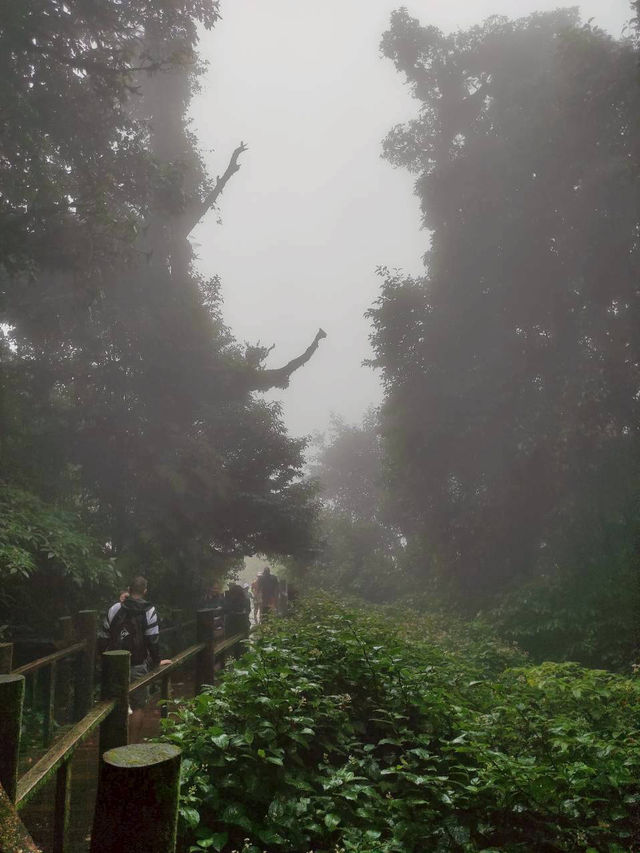 ⛰️ ดอยอินทนนท์: สุดยอดแห่งสยาม ณ เชียงใหม่ 🇹🇭 ⛰️ ดอยอินทนนท์: สุดยอดแห่งสยาม ณ เชียงใหม่ 🇹🇭